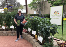 Cheni Filios of HandPicked Vegetables Collection featuring Tomato Sun Dipper.